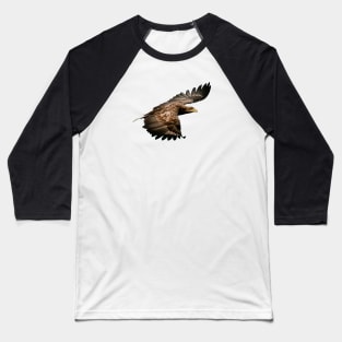 White tailed Eagle Baseball T-Shirt